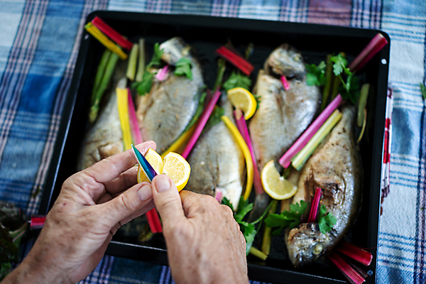 포토 JPG 해외이미지 라이프스타일 접시 음식 조각 백그라운드 다이어트 채소 재료 부분 건강 어류 요리 사람없음 초록색 컬러풀 식당 식사 저녁식사 샐러드 튀김 신선 맛 그릴 굽기 지중해 먹기 레몬 허브 해산물 향신료 메뉴 준비 유기농 소금 시금치 로즈메리 내추럴 점심식사 맛있는 해외포토 식물 식기 웰빙 바다 컬러 컨셉 과일 모션 주방용품 생활 상점 수중동물 구이 향미료 파일형식 이미지허브