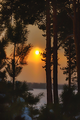 포토 JPG 해외이미지 나무 계절 공원 여행 백그라운드 겨울 자연 하늘 날씨 그림자 풍경 사람없음 야외 목재 파란색 빛 햇빛 태양 얼음 일몰 추위 흰색 숲 서리 내추럴 눈내림 해외포토 자연요소 식물 공공시설 컬러 재료 눈_날씨 노을 생태계 파일형식 이미지허브