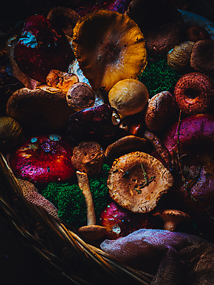 포토 JPG 해외이미지 계절 음식 백그라운드 잎 다이어트 재료 자연 탁자 건강 요리 사람없음 목재 장식 빨간색 초록색 컬러풀 갈색 바구니 식당 식사 버섯 침묵 수확 흰색 시골 신선 칼 숲 자르기 먹기 오브젝트 유기농 질감 날것 레시피 내추럴 그물버섯 식용 맛있는 해외포토 나무 식물 웰빙 컬러 가구 농업 모션 상점 소리 생태계 파일형식 이미지허브