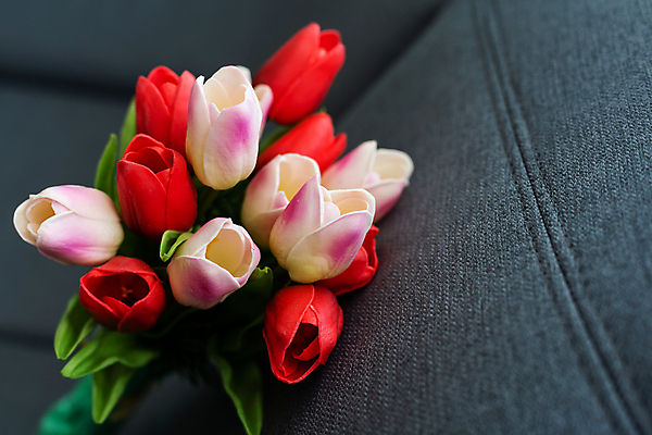 포토 JPG 해외이미지 여러송이 실내 사람없음 튤립 해외포토 꽃 다수 내부 파일형식 이미지허브