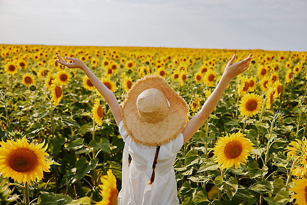 포토 JPG 해외이미지 주간 여자 꽃밭 해바라기 한명 상반신 성인 야외 뒷모습 만세 성인여자한명만 해외포토 자연요소 1 꽃 뷰포인트 모션 사람 여자한명만 성인여자만 파일형식 이미지허브