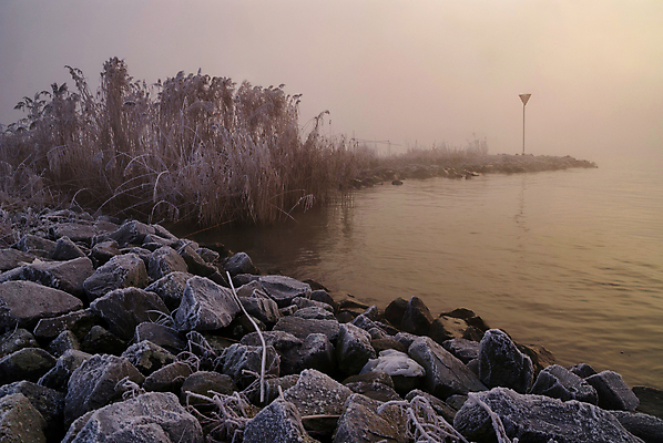 포토 JPG 해외이미지 겨울 자연 하늘 아침 갈대 풍경 사람없음 물 강 평화 일출 항구 냉동 침묵 황혼 추위 안개 네덜란드 암초 뿌연 현무암 해외포토 주간 자연요소 식물 계절 유럽 컨셉 교통시설 날씨 노을 소리 일몰 생태계 화산암 파일형식 이미지허브