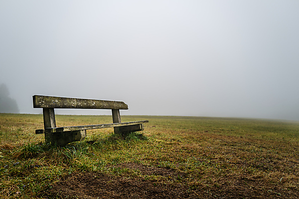 포토 JPG 해외이미지 나무 공원 도로 여행 백그라운드 밭 벤치 자연 하늘 휴가 휴식 사람없음 야외 초록색 환경 안개 시골 도시 분위기 숲 언덕 내추럴 단절 뿌연 삼림지대 옛날 카피스페이스 해외포토 식물 공공시설 길 컬러 컨셉 농업 의자 교통시설 날씨 공백 생태계 파일형식 이미지허브