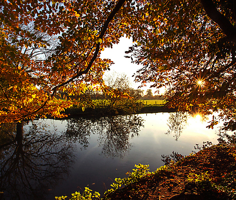 포토 JPG 해외이미지 주간 단풍 단풍나무 사람없음 야외 강 반사 해외포토 자연요소 나무 잎 파일형식 이미지허브