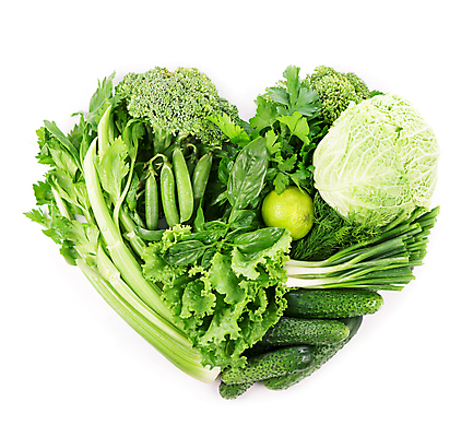 포토 JPG 해외이미지 채소 호박 양파 오이 콩 파프리카 파슬리 사람없음 초록색 하트 상추 허브 양배추 강낭콩 건강식 주키니호박 해외포토 모양 식물 음식 컬러 곡류 파일형식 이미지허브