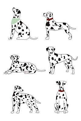 EPS 해외이미지 동물 캐릭터 손 백그라운드 일러스트 반려동물 세트 흰색 개 강아지 인쇄 만화 수집 기르기 달마시안 해외일러스트 일러캐릭터 컬러 포유류 신체부위 돌봄 파일형식 벡터 이미지허브