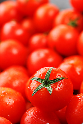 포토 JPG 해외이미지 토마토 방울토마토 실내 근접촬영 사람없음 물방울 신선 가득함 해외포토 뷰포인트 채소 내부 파일형식 이미지허브