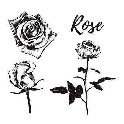 EPS 해외이미지 식물 디자인 꽃잎 꽃 실루엣 선 줄기 꽃다발 백그라운드 잎 꽃무늬 일러스트 자연 미술 그래픽 장식 세트 장미 정원 검은색 수확 벚꽃 우아함 스케치 다발 수집 싱글 그림 복고 윤곽 손그림 고립 엘리먼트 해외일러스트 컬러 컨셉 무늬 농업 문화예술 촬영기법 생태계 파일형식 벡터 이미지허브