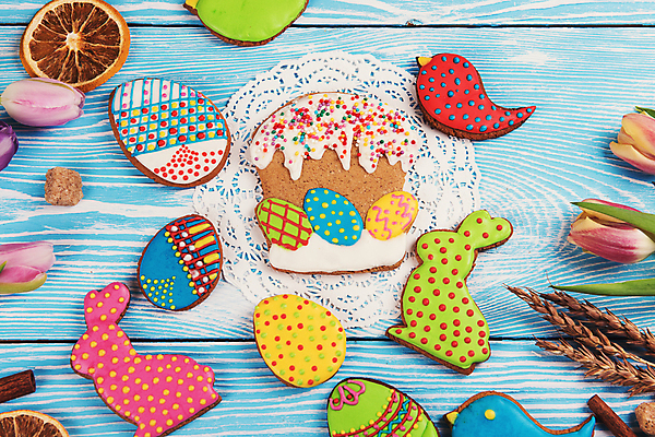 포토 JPG 해외이미지 꽃 잎 사람없음 장식 화려 부활절계란 파란배경 새모양 시나몬 토끼모양 진저쿠키 스프링클 나무배경 해외포토 모양 식물 백그라운드 컨셉 부활절 파란색 쿠키 계란 파일형식 이미지허브