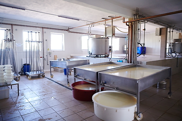 포토 JPG 해외이미지 공장 치즈 사람없음 기계 우유 제조 만들기 해외포토 공업 모션 유제품 파일형식 이미지허브