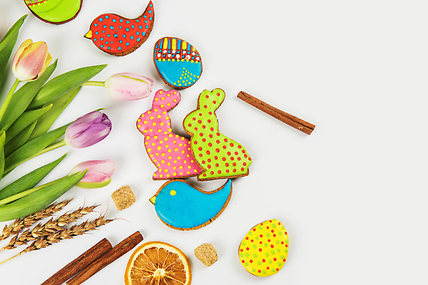 포토 JPG 해외이미지 꽃 잎 사람없음 장식 화려 부활절계란 건과일 새모양 시나몬 토끼모양 진저쿠키 스프링클 카피스페이스 해외포토 모양 식물 컨셉 과일 부활절 건조 쿠키 계란 공백 파일형식 이미지허브