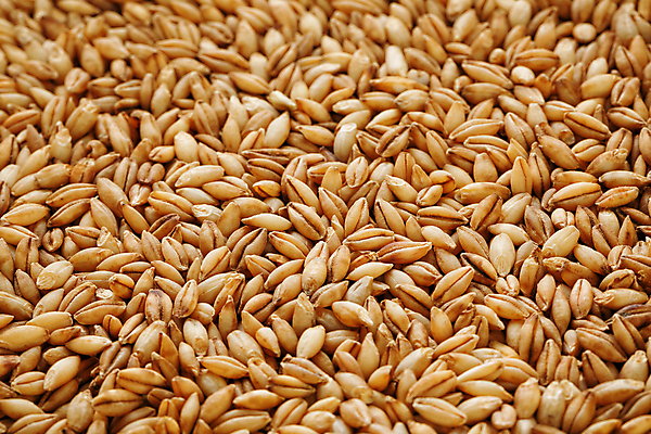 포토 JPG 해외이미지 음료 음식 빵 백그라운드 패턴 농업 재료 콩 건조 맥주 건강 옥수수 요리 씨앗 사람없음 쌓기 주방 식사 흰색 점 그룹 낟알 시리얼 굽기 먹기 가득함 유기농 질감 알맹이 날것 보리 장인 흙더미 내추럴 고립 바이오 수수 양조 채식주의자 억울 해외포토 식물 웰빙 감정 산업 컬러 무늬 모션 곡류 주류 흙 구이 채식 파일형식 더미 이미지허브