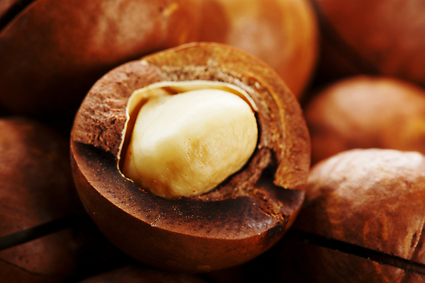 포토 JPG 해외이미지 근접촬영 사람없음 견과류 껍질 유기농 마카다미아 해외포토 웰빙 뷰포인트 파일형식 이미지허브