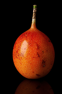 포토 JPG 해외이미지 나무 1 라이프스타일 음식 줄기 백그라운드 다이어트 채소 오렌지 과일 재료 자연 건강 사람없음 빛 반사 검은색 신선 달콤 맛 자르기 싱글 유기농 날것 비타민 내추럴 고립 숙성 이국적 채식주의자 해외포토 식물 웰빙 컬러 컨셉 모션 생활 생태계 채식 영양소 파일형식 이미지허브