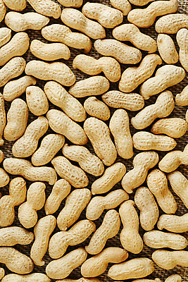 포토 JPG 해외이미지 백그라운드 실내 사람없음 견과류 가득함 유기농 땅콩 땅콩껍질 해외포토 웰빙 내부 껍질 파일형식 이미지허브