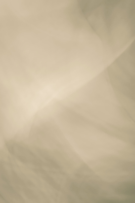 포토 JPG 해외이미지 디자인 종이 백그라운드 일러스트 벽지 표면 날씨 추상 사람없음 갈색 노란색 우주 페인트 공백 손상 수확 골동품 얼룩 거친 플랫 복고 심플 캔버스 페이지 시들음 구김 구식 세피아 양피지 옛날 중고 평야 노화 해외일러스트 컬러 컨셉 무늬 농업 모션 자연 촬영기법 파일형식 이미지허브