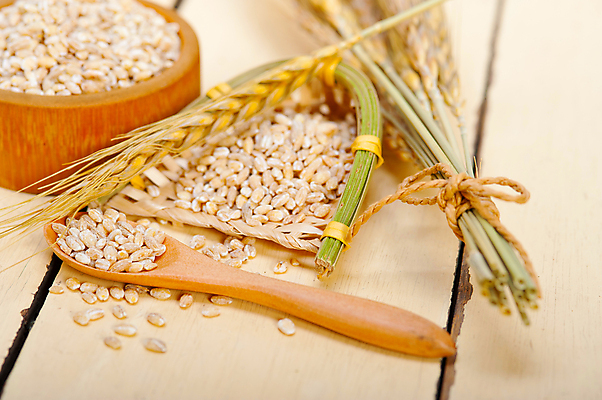 포토 JPG 해외이미지 근접촬영 사람없음 농작물 낟알 보리 보리이삭 해외포토 뷰포인트 농업 곡류 이삭 파일형식 이미지허브