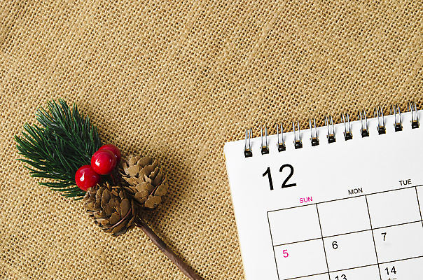 포토 JPG 해외이미지 나무 계절 행복 백그라운드 컨셉 크리스마스장식 크리스마스 겨울 휴가 선물 이벤트 사람없음 장식 빨간색 파티 우주 축제 놀람 달력 축하 인사 소나무 날짜 12월 삼베 심플 자루 솔방울 전나무 카피스페이스 해외포토 식물 기념일 감정 컬러 표정 공백 예절 파일형식 천_직물 이미지허브