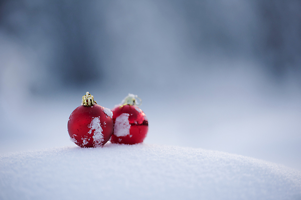 포토 JPG 해외이미지 주간 크리스마스장식 겨울 사람없음 야외 아웃포커스 눈 오너먼트 해외포토 자연요소 계절 크리스마스 날씨 촬영기법 파일형식 이미지허브