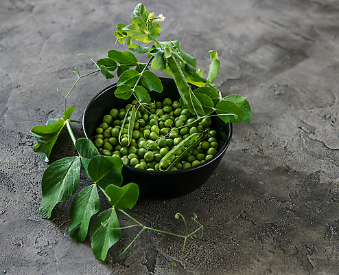 포토 JPG 해외이미지 그릇 잎 실내 사람없음 담기 완두콩 해외포토 식물 식기 모션 콩 내부 파일형식 이미지허브