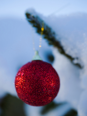 포토 JPG 해외이미지 주간 크리스마스장식 겨울 매달리기 근접촬영 사람없음 야외 아웃포커스 눈 걸림 오너먼트 해외포토 자연요소 계절 뷰포인트 크리스마스 모션 날씨 촬영기법 파일형식 이미지허브