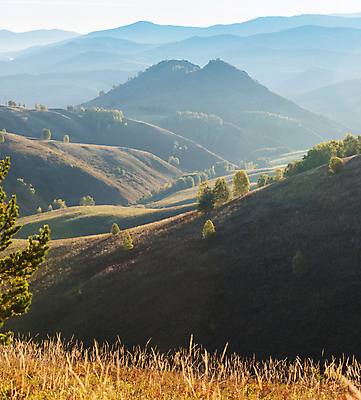 포토 JPG 해외이미지 주간 나무 자연 산 풍경 초원 사람없음 야외 가을풍경 가을 풀 해외포토 자연요소 식물 계절 생태계 파일형식 가을_계절 이미지허브