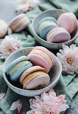 포토 JPG 해외이미지 그릇 꽃 디저트 실내 사람없음 달콤 담기 마카롱 해외포토 식물 식기 음식 모션 내부 맛 파일형식 이미지허브