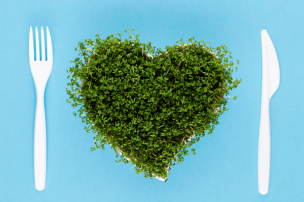 포토 JPG 해외이미지 식물 음식 백그라운드 잎 다이어트 채소 재료 자연 건강 씨앗 사람없음 초록색 새싹 봄 성장 하트 신선 사발 혼합 낟알 밀 머스터드 레이아웃 날것 박테리아 내추럴 모종 채식주의자 총각무 해외포토 모양 계절 컬러 의학 곡류 사기그릇 소스_음식 무 생태계 채식 파일형식 이미지허브