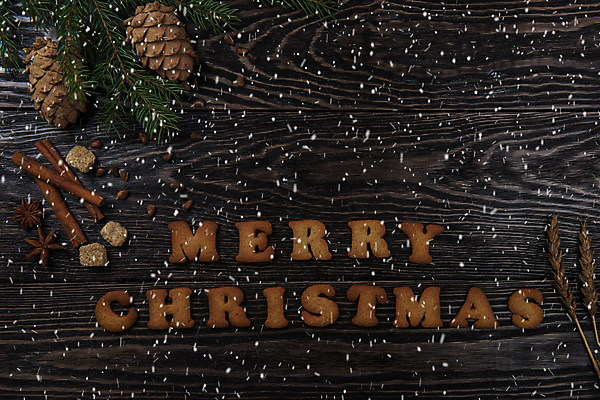 포토 JPG 해외이미지 영어 크리스마스 실내 사람없음 쿠키 솔방울 진저쿠키 나무배경 해외포토 문자 기념일 백그라운드 디저트 내부 파일형식 이미지허브