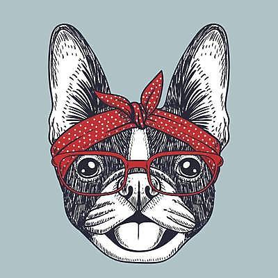 EPS 해외이미지 안경 일러스트 사람없음 머리띠 심볼 프렌치불독 안경낌 해외일러스트 잡화 장신구 불독 파일형식 벡터 이미지허브