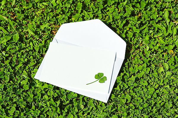 포토 JPG 주간 백그라운드 자연 편지봉투 초원 사람없음 야외 행운 네잎클로버 클로버 편지 국내포토 자연요소 식물 컨셉 봉투 생태계 파일형식