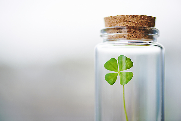 포토 JPG 주간 백그라운드 자연 유리병 근접촬영 사람없음 야외 아웃포커스 행운 네잎클로버 담기 국내포토 자연요소 식물 뷰포인트 컨셉 모션 병_용기 촬영기법 클로버 생태계 파일형식