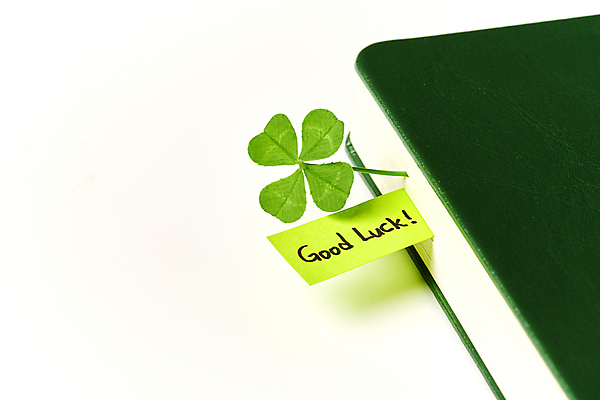 포토 식물 뷰포인트 백그라운드 컨셉 실내 내부 흰색 메모지 클로버 생태계 파일형식 꽂음 흰배경 네잎클로버 자연 행운 책 포스트잇 손글씨 스튜디오촬영 근접촬영 JPG 사람없음 국내포토 북마크