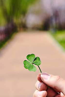 포토 JPG 주간 손 길 백그라운드 자연 들기 야외 아웃포커스 신체부위 행운 네잎클로버 국내포토 자연요소 식물 컨셉 모션 촬영기법 사람 클로버 생태계 파일형식