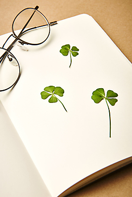 포토 식물 잡화 백그라운드 컨셉 문구용품 실내 내부 갈색 클로버 파일형식 감성 갈색배경 네잎클로버 행운 공책 안경 스튜디오촬영 JPG 사람없음 국내포토 북마크