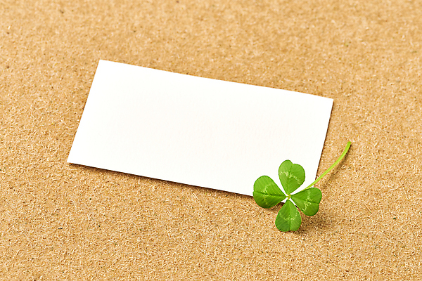 포토 식물 백그라운드 컨셉 프레임 실내 내부 갈색 공백 클로버 파일형식 종이 카피스페이스 갈색배경 네잎클로버 행운 카드프레임 스튜디오촬영 JPG 사람없음 국내포토