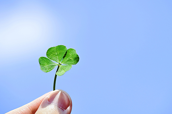 포토 JPG 주간 구름 손 백그라운드 자연 하늘 들기 근접촬영 야외 신체부위 행운 네잎클로버 국내포토 자연요소 식물 뷰포인트 컨셉 모션 사람 클로버 생태계 파일형식