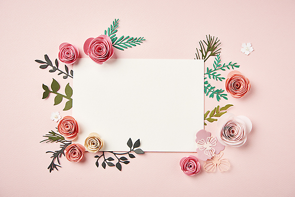 포토 JPG 스튜디오촬영 종이 분홍색 잎 사각프레임 사람없음 하이앵글 페이퍼아트 오브젝트 종이꽃 카피스페이스 편집소스 분홍색배경 국내포토 식물 꽃 뷰포인트 컬러 백그라운드 프레임 실내 사각형 공백 파일형식
