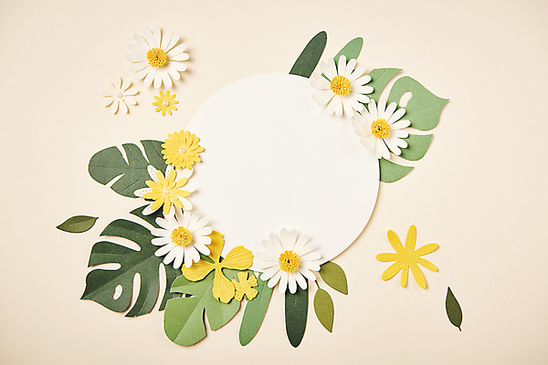 포토 JPG 스튜디오촬영 종이 잎 사람없음 하이앵글 페이퍼아트 오브젝트 원형프레임 종이꽃 베이지색배경 카피스페이스 편집소스 국내포토 식물 꽃 뷰포인트 백그라운드 프레임 실내 공백 원형 베이지색 파일형식