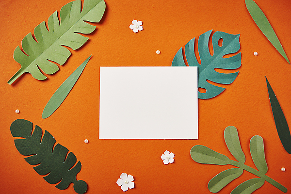 포토 JPG 스튜디오촬영 종이 잎 사각프레임 사람없음 하이앵글 페이퍼아트 오브젝트 종이꽃 카피스페이스 편집소스 주황색배경 국내포토 식물 꽃 뷰포인트 백그라운드 프레임 실내 사각형 주황색 공백 파일형식