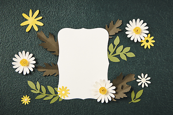포토 JPG 스튜디오촬영 종이 잎 프레임 사람없음 하이앵글 페이퍼아트 오브젝트 종이꽃 카피스페이스 편집소스 초록배경 국내포토 식물 꽃 뷰포인트 백그라운드 실내 초록색 공백 파일형식