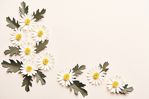 포토 JPG 스튜디오촬영 종이 잎 프레임 사람없음 하이앵글 페이퍼아트 오브젝트 종이꽃 카피스페이스 편집소스 국내포토 식물 꽃 뷰포인트 실내 공백 파일형식