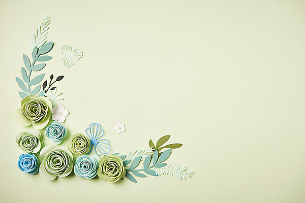 포토 JPG 스튜디오촬영 종이 잎 프레임 사람없음 하이앵글 페이퍼아트 오브젝트 종이꽃 카피스페이스 편집소스 초록배경 국내포토 식물 꽃 뷰포인트 백그라운드 실내 초록색 공백 파일형식