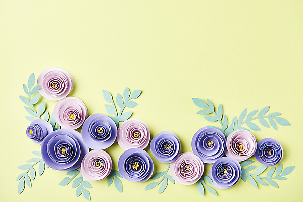 포토 JPG 스튜디오촬영 종이 잎 프레임 사람없음 하이앵글 페이퍼아트 오브젝트 종이꽃 편집소스 초록배경 국내포토 식물 꽃 뷰포인트 백그라운드 실내 초록색 파일형식