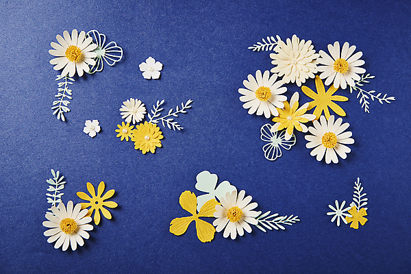 포토 JPG 스튜디오촬영 종이 백그라운드 잎 사람없음 하이앵글 페이퍼아트 오브젝트 파란배경 종이꽃 편집소스 국내포토 식물 꽃 뷰포인트 실내 파란색 파일형식