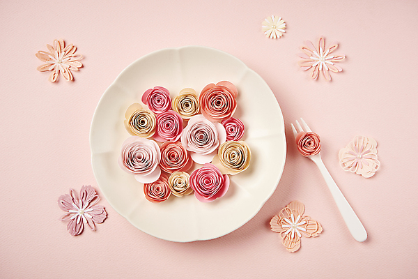 포토 JPG 스튜디오촬영 접시 종이 포크 사람없음 하이앵글 페이퍼아트 오브젝트 담기 종이꽃 편집소스 분홍색배경 국내포토 식기 꽃 뷰포인트 분홍색 백그라운드 모션 실내 파일형식