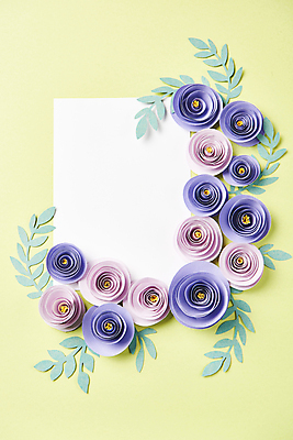 포토 JPG 스튜디오촬영 종이 사각프레임 사람없음 하이앵글 페이퍼아트 오브젝트 종이꽃 카피스페이스 편집소스 초록배경 국내포토 꽃 뷰포인트 백그라운드 프레임 실내 초록색 사각형 공백 파일형식