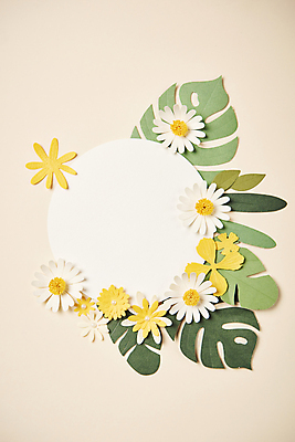 포토 JPG 스튜디오촬영 종이 잎 사람없음 하이앵글 페이퍼아트 오브젝트 원형프레임 종이꽃 베이지색배경 카피스페이스 편집소스 국내포토 식물 꽃 뷰포인트 백그라운드 프레임 실내 공백 원형 베이지색 파일형식