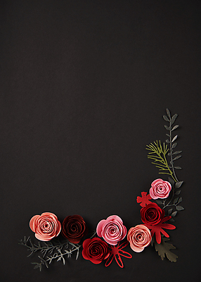 포토 JPG 스튜디오촬영 종이 잎 검은배경 프레임 사람없음 하이앵글 페이퍼아트 오브젝트 종이꽃 카피스페이스 편집소스 국내포토 식물 꽃 뷰포인트 백그라운드 실내 검은색 공백 파일형식