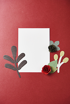 포토 JPG 스튜디오촬영 종이 잎 사각프레임 사람없음 하이앵글 페이퍼아트 오브젝트 빨간배경 종이꽃 카피스페이스 편집소스 국내포토 식물 꽃 뷰포인트 백그라운드 프레임 실내 빨간색 사각형 공백 파일형식